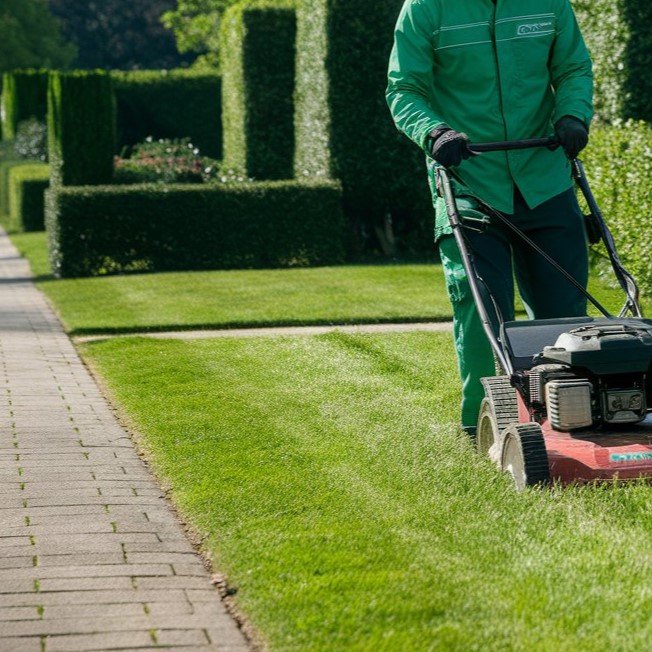 Rasenpflege